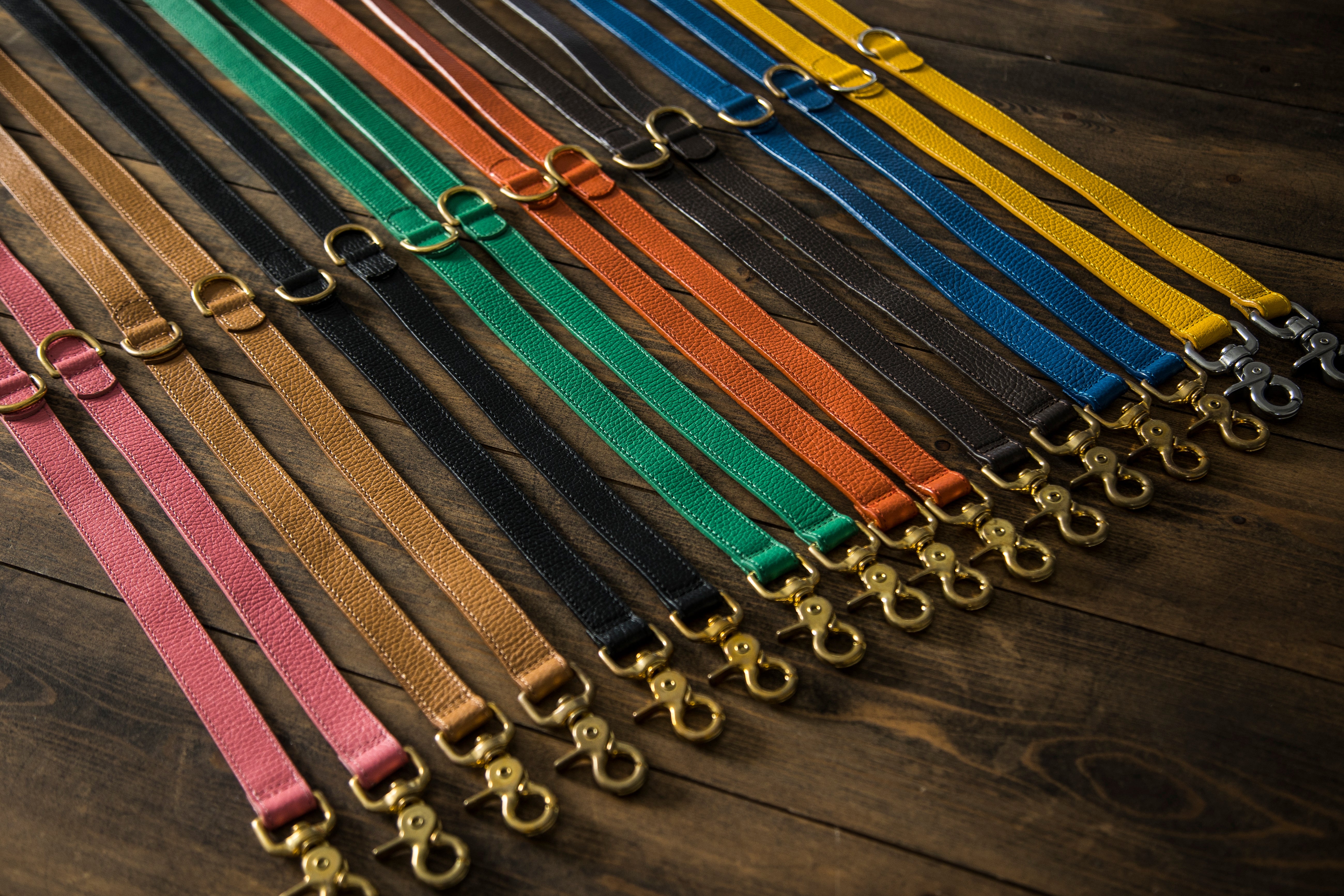 Leads